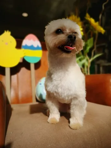 Pasqua